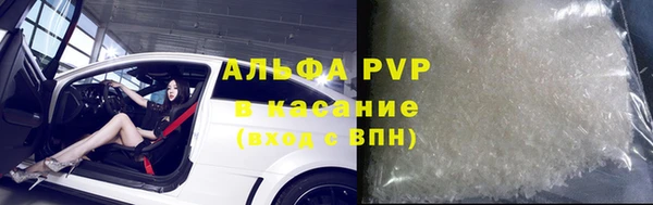 прущие грибы Беломорск