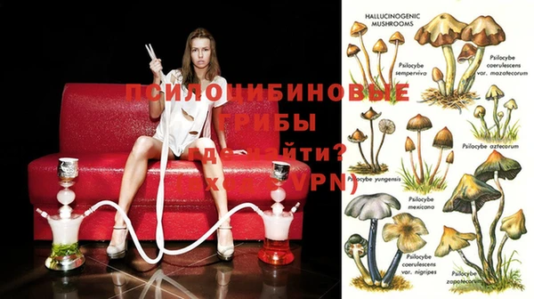 дживик Балабаново