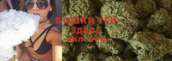 прущие грибы Беломорск