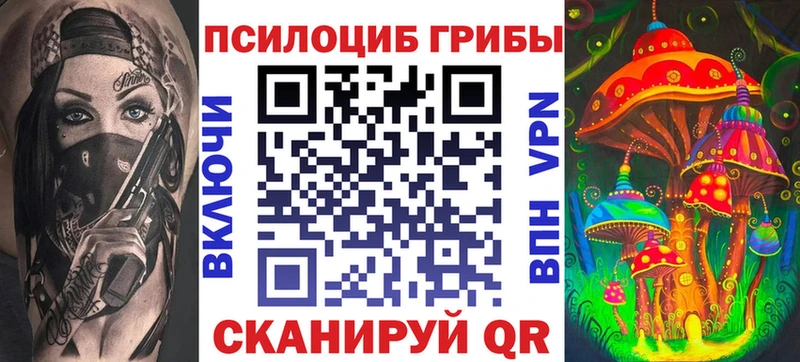 Галлюциногенные грибы Psilocybe  цена   Кунгур 